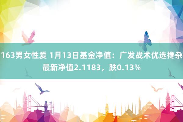 163男女性爱 1月13日基金净值：广发战术优选搀杂最新净值2.1183，跌0.13%