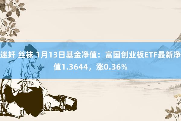 迷奸 丝袜 1月13日基金净值：富国创业板ETF最新净值1.3644，涨0.36%