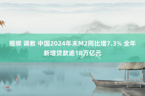 捆绑 调教 中国2024年末M2同比增7.3% 全年新增贷款逾18万亿元