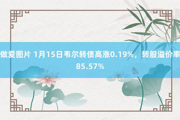 做爱图片 1月15日韦尔转债高涨0.19%，转股溢价率85.57%