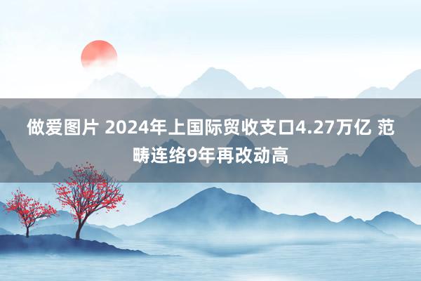 做爱图片 2024年上国际贸收支口4.27万亿 范畴连络9年再改动高