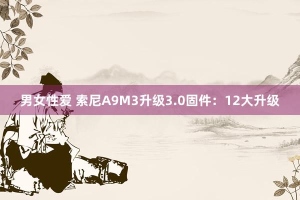 男女性爱 索尼A9M3升级3.0固件：12大升级