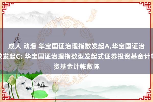 成人 动漫 华宝国证治理指数发起A，华宝国证治理指数发起C: 华宝国证治理指数型发起式证券投资基金计帐敷陈